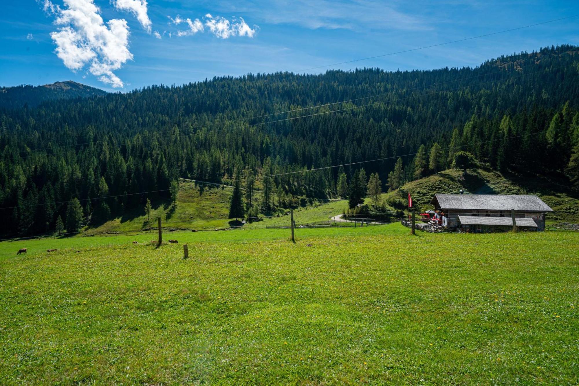 Mittereggalm Hotel Muhlbach Am Hochkonig Luaran gambar